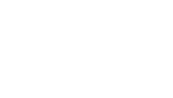 DENIER A/   +  HV : DALPHS : VIEN  Dauphin Ponctuation par 2 annelets superposés  R/ + COMES : ALBONIS   Croix cantonnée au 1 d’un dauphin. Ponctuation par 2 annelets superposés     Poids 1,06g, diamètre 19 mm, PA 4870.
