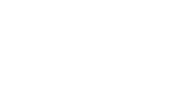 DENIER A/   + : HV : DALPHS : VIENE’ :  Dauphin Ponctuation par 2 croisettes  R/ + : COMES : ALBONIS :  Croix cantonnée au 2 d’un dauphin et au 3 d’une tour. Ponctuation par 2 croisettes     Poids 1,06g, diamètre 21,20 mm, CAR 505.