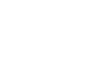 DENIER FORT A/   + HV * DALPHS * VIENS  Dauphin avec 2 point sur le dos. Ponctuation par 2 croisettes superposées  R/ + * COMES * // * ALBON*   Croix  renflée dont le pied coupe la légende.     Poids 1,50g, diamètre 19 mm, PA 4887
