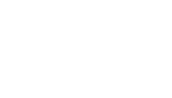 OBOLE A/   +  HV . DALPHS . VIEN  Dauphin à gauche. Ponctuation ?  R/ + CO // MES // ALB // ONS  Croix coupant la légende,     Poids 0,50g, diamètre 15 mm