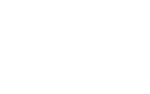 Denier A/ +:DALPHS VIEN Dauphin en pal à gauche. R/ +:EPS:GRONOP' Croix pattée cantonnée au 2ème quadrant d'un annelet. Poids 0,66g, diamètre 16 mm, Réf PA 4771