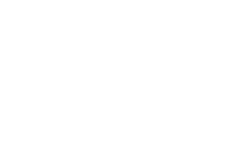 DENIER  A/   + HV : DALPHS : VIEN  Dauphin  Ponctuation par  1 croisette surmontée d’un annelet.  R/ +  COMES  //  ALBON :  Croix  dont le pied coupe la légende. Ponctuation par  1 croisette surmontée d’un annelet.     Poids 0,68g, diamètre 18 mm, CAR 510